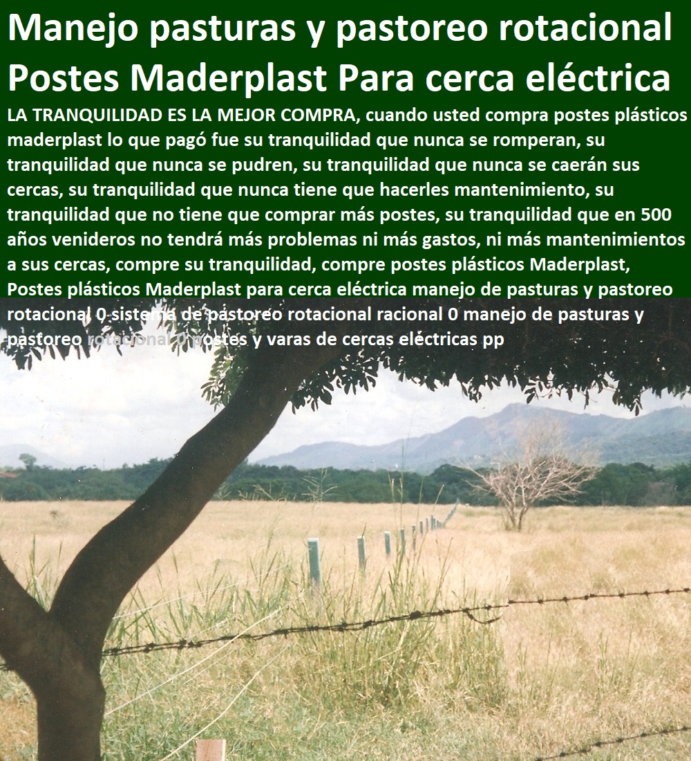 Postes plásticos Maderplast para cerca eléctrica manejo de pasturas y pastoreo rotacional 0 sistema de pastoreo rotacional racional 0 manejo de pasturas y pastoreo rotacional 0 postes y varas de cercas eléctricas pp Postes plásticos Maderplast para cerca eléctrica manejo de pasturas y pastoreo rotacional 0 sistema de pastoreo rotacional racional 0 manejo de pasturas y pastoreo rotacional 0 postes y varas de cercas eléctricas pp Postes plásticos Maderplast para cerca eléctrica manejo de pasturas y pastoreo rotacional 0 sistema de pastoreo rotacional racional 0 manejo de pasturas y pastoreo rotacional 0 postes y varas de cercas eléctricas pp
